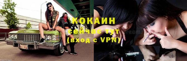 сатива Ладушкин