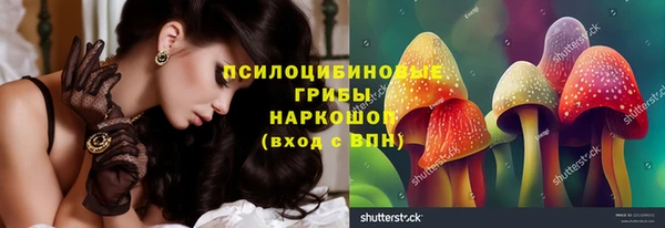 соль ск Лагань
