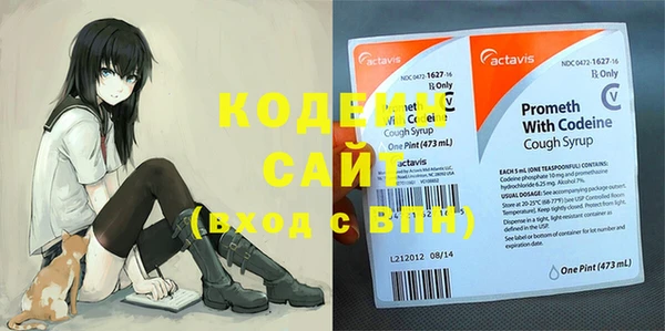 трава Осинники
